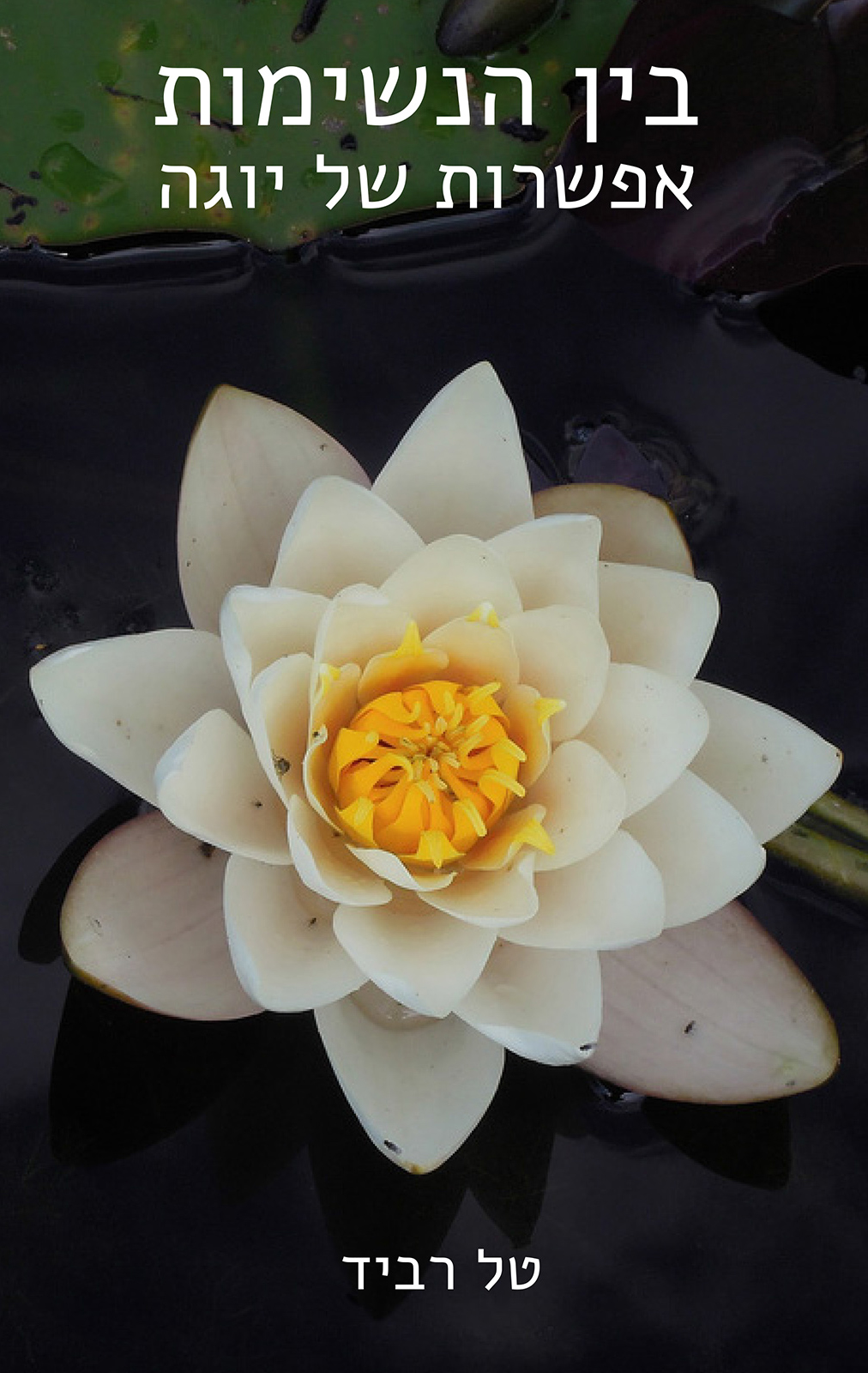 כריכת הספר: בין הנשימות – אפשרות של יוגה